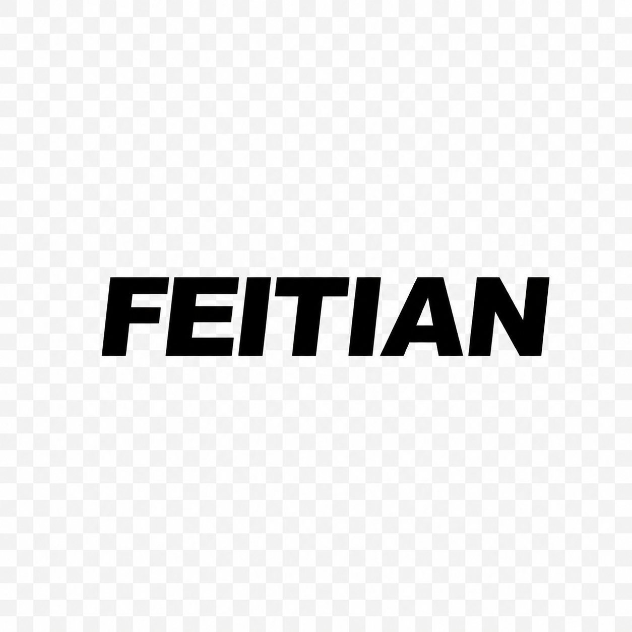 FEITIAN Technologies US Inc